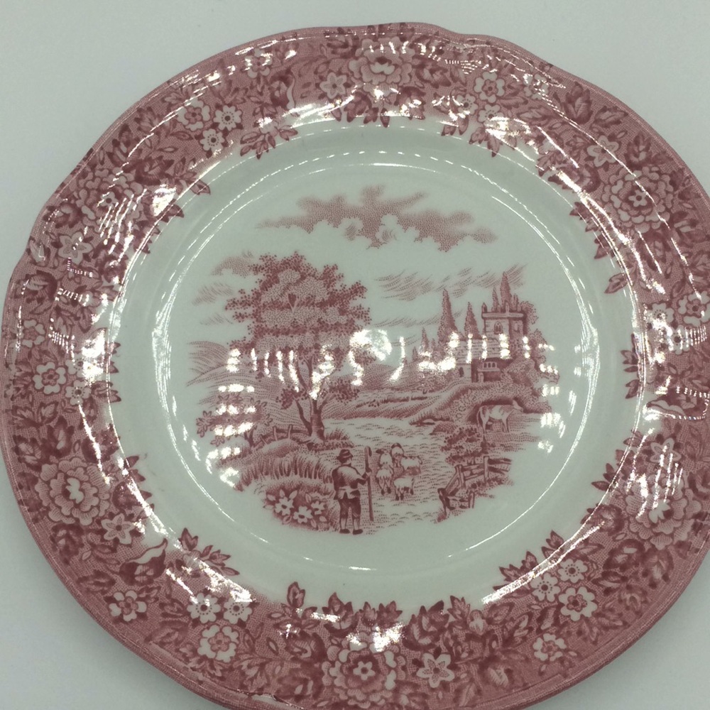 Staffordshire plate rare England ,Homeland